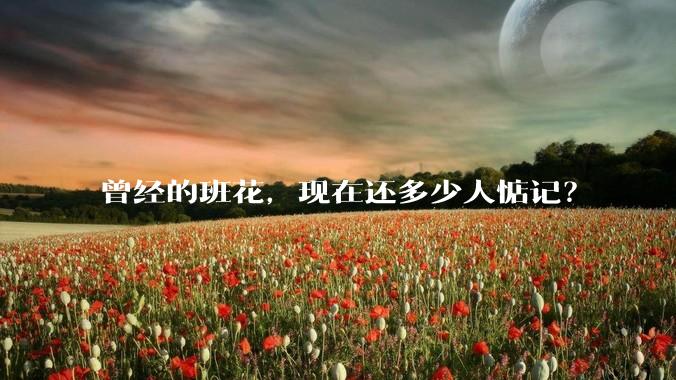 曾经的班花，现在还多少人惦记？