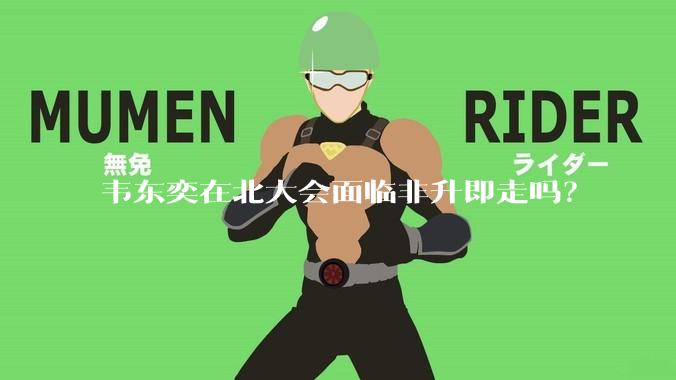 韦东奕在北大会面临非升即走吗？