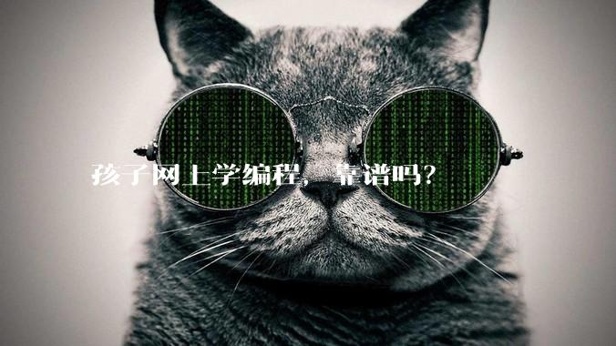 孩子网上学编程，靠谱吗？