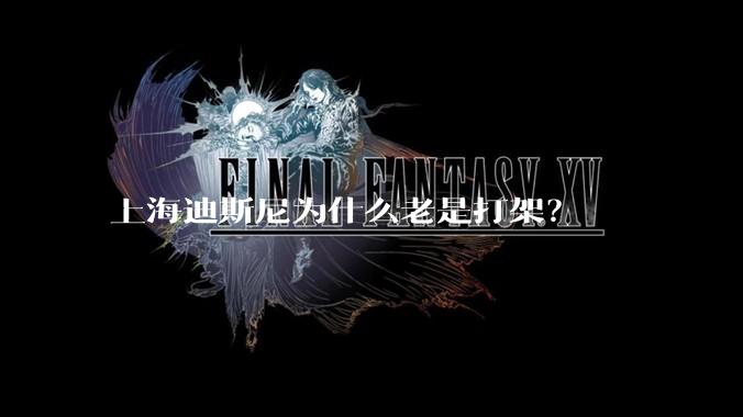 上海迪斯尼为什么老是打架？