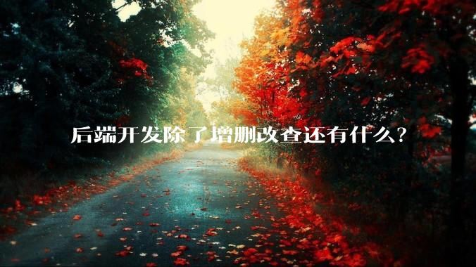 后端开发除了增删改查还有什么？