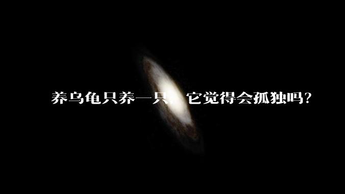 养乌龟只养一只，它觉得会孤独吗？