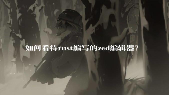 如何看待rust编写的zed编辑器？
