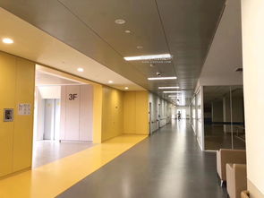 卡米诺建材 PVC商用卷材公司的优质塑胶地板供应与优惠图片展示