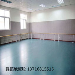 【舞蹈塑胶地板专用舞蹈房地胶】-